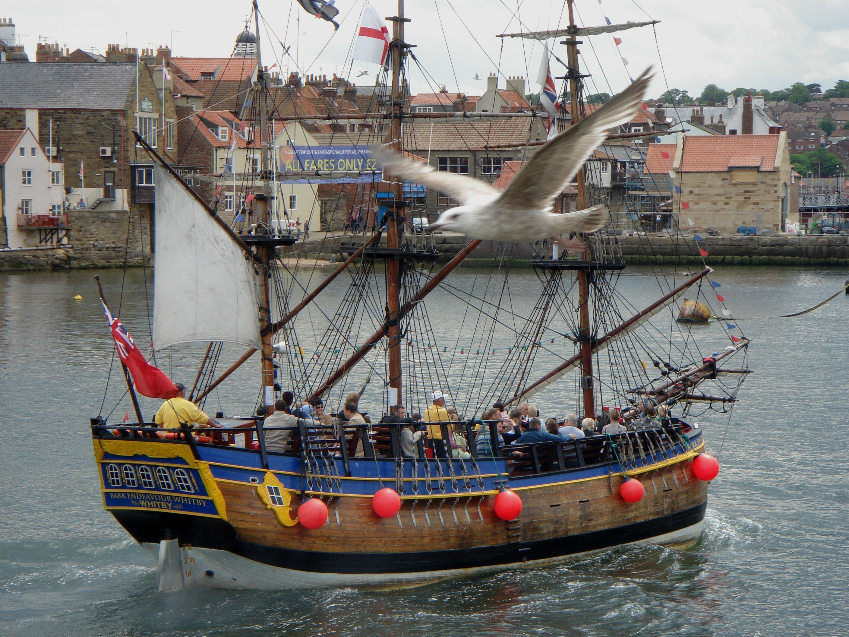 Sailboat in harbor with seagull