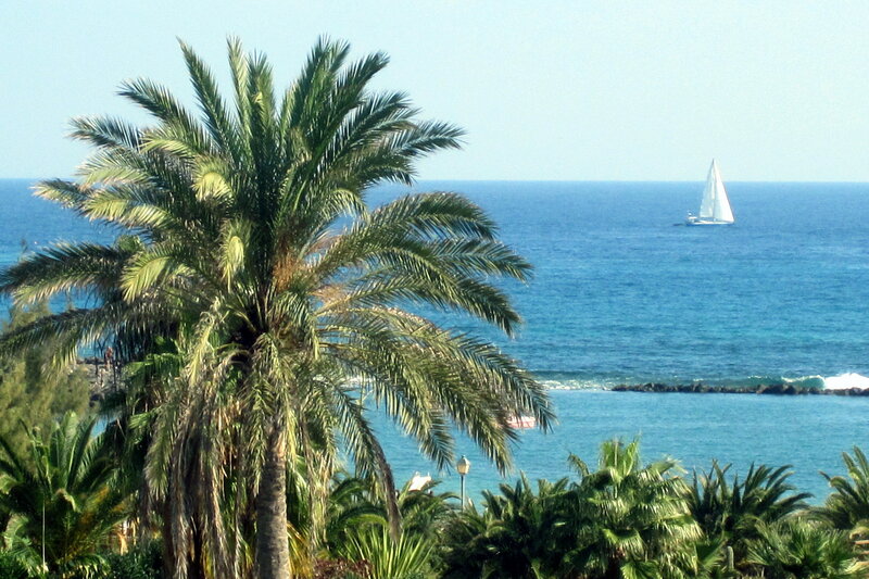 Sailboat in Ocean — Blue, Serene, Afternoon, Photograph, Palm Tree