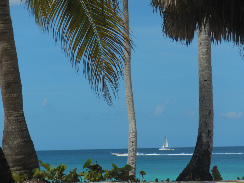 Sailboat in Ocean — Blue, Serene, Afternoon, Photograph, Palm Trees