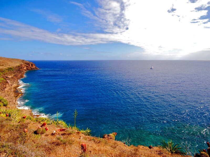 Sailboat in Ocean — Blue, Serene, Afternoon