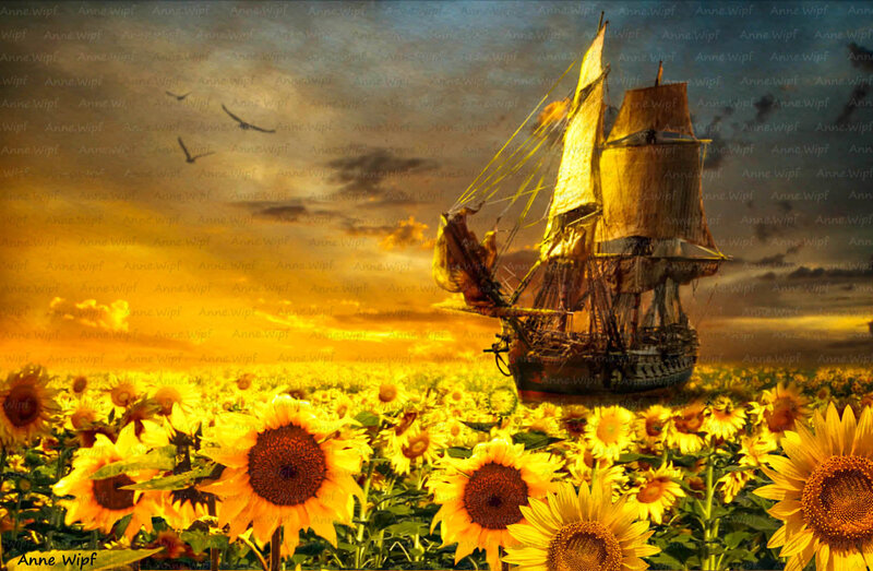 Sailboat in Sunflower Field