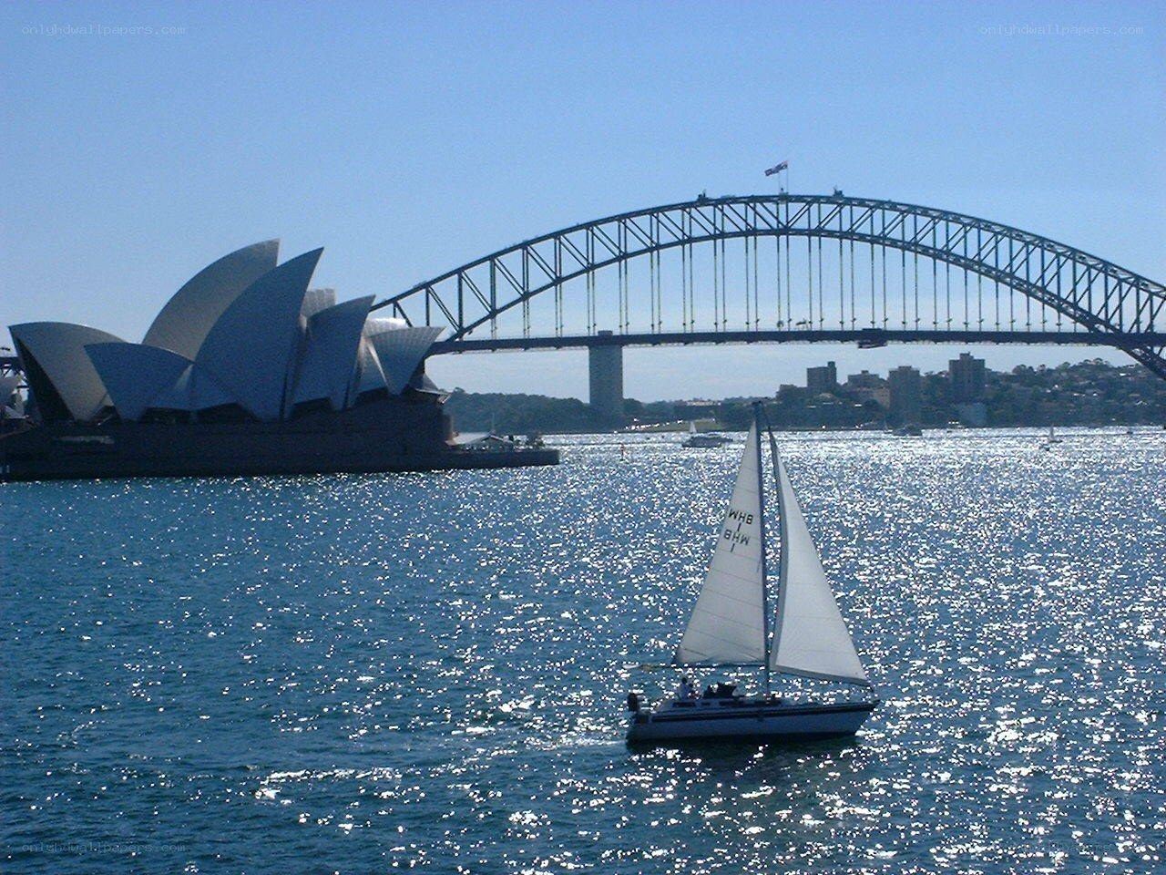 Sailboat in Sydney Harbour
