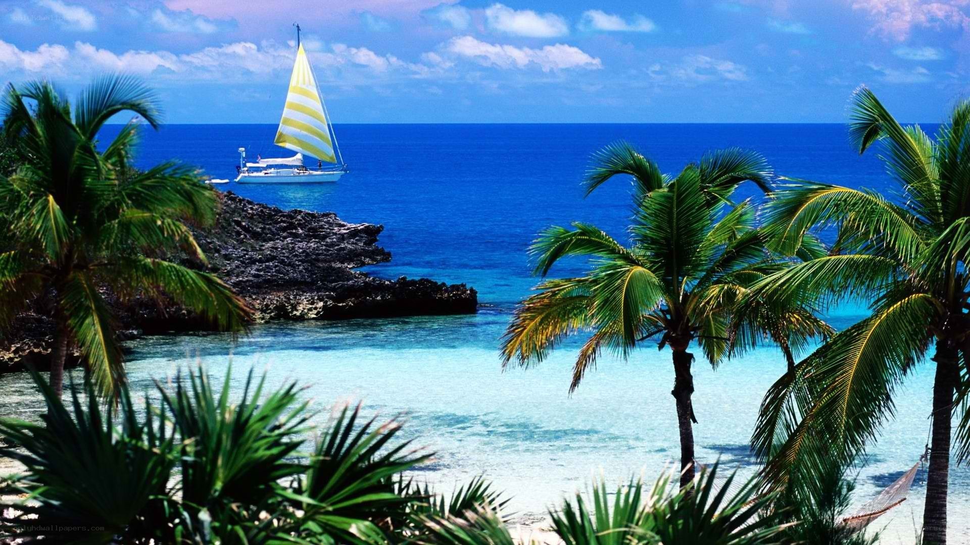 Sailboat in tropical bay