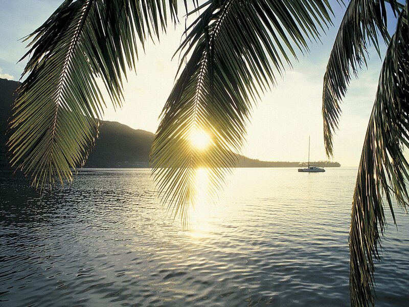 Sailboat in Tropical Bay — Green, Serene