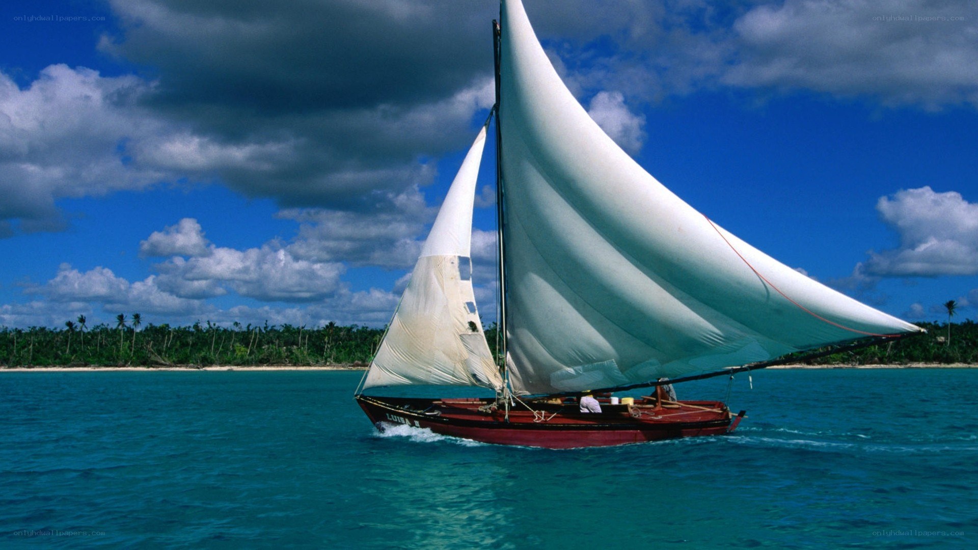 Sailboat in tropical waters