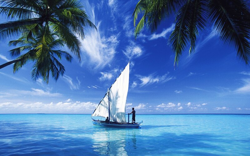 Sailboat in Turquoise Water — Blue, Serene, Afternoon, Photograph, Palm Trees, Sky, People