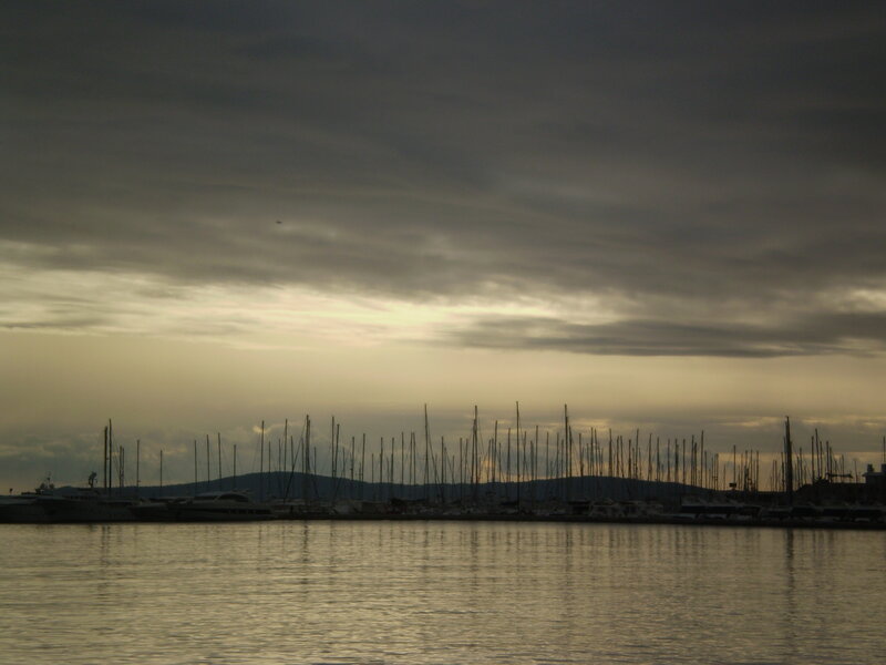 Sailboat Masts at Harbor