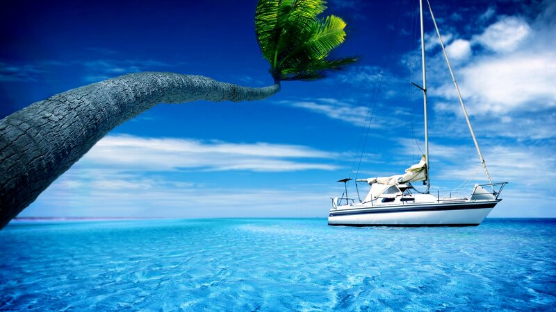 Sailboat Near Palm Tree — Blue, Serene