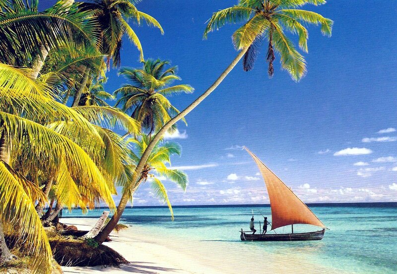 Sailboat Near Palm Trees — Blue, Serene