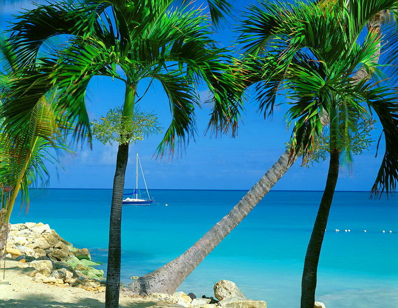 Sailboat Near Palm Trees — Blue