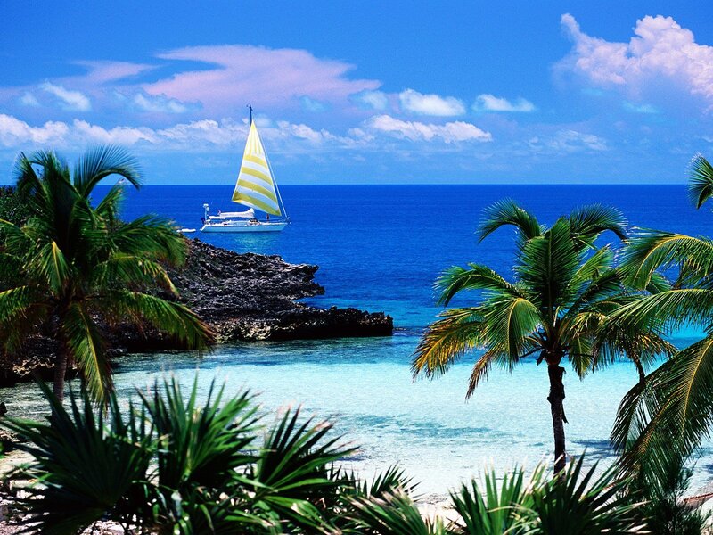 Sailboat near tropical island
