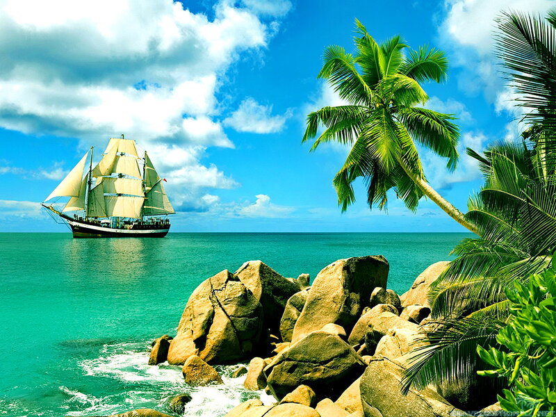 Sailboat Near Tropical Shore