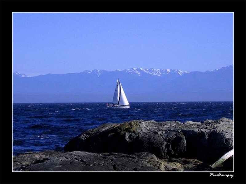 Sailboat on a blue sea