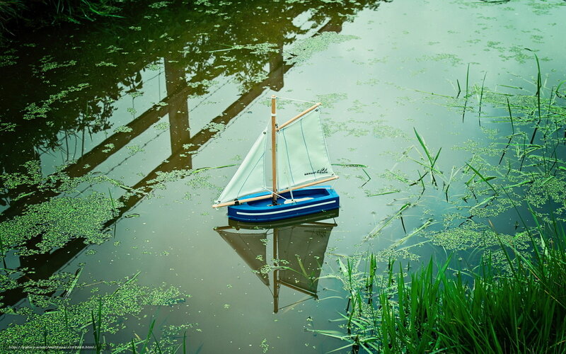 Sailboat on a pond