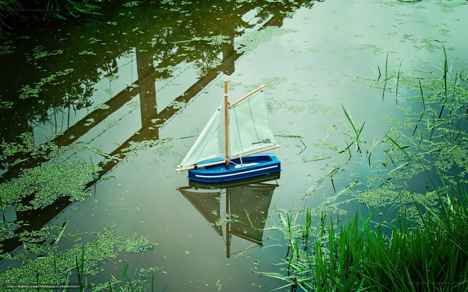 Sailboat on a pond