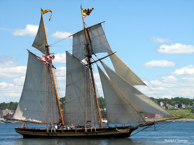 sailboat on a sunny day