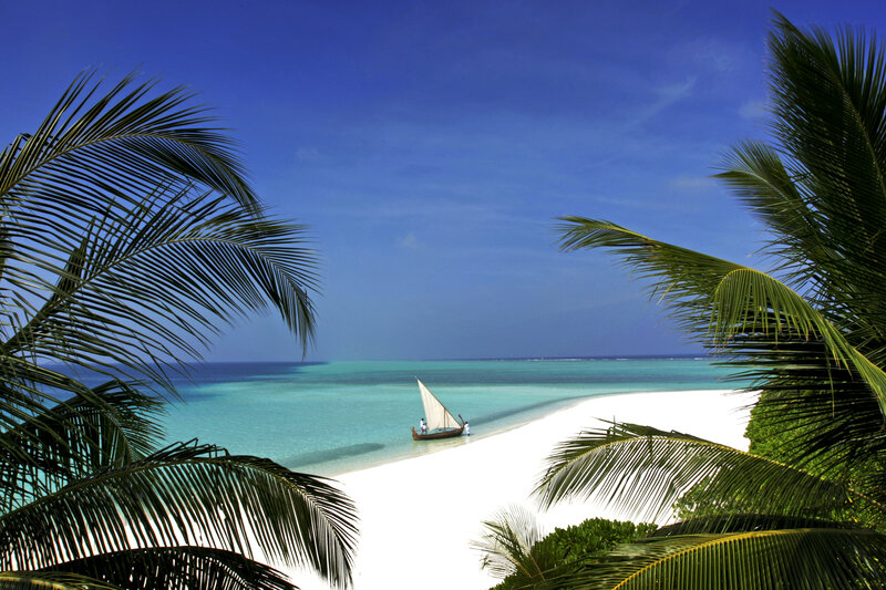 Sailboat on Beach — Blue, Serene, Afternoon, Photograph, Palm Trees