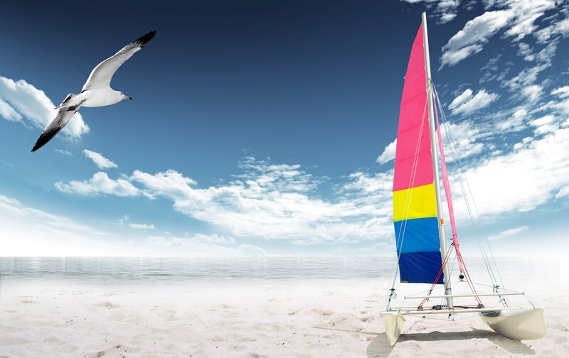 Sailboat on Beach — Blue, Serene, Afternoon, Photograph, Seagull