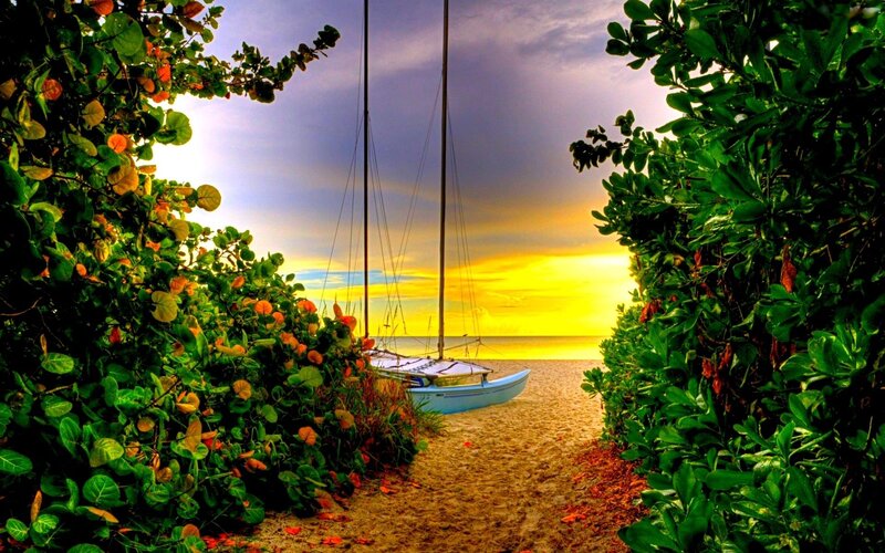 Sailboat on Beach — Yellow, Serene
