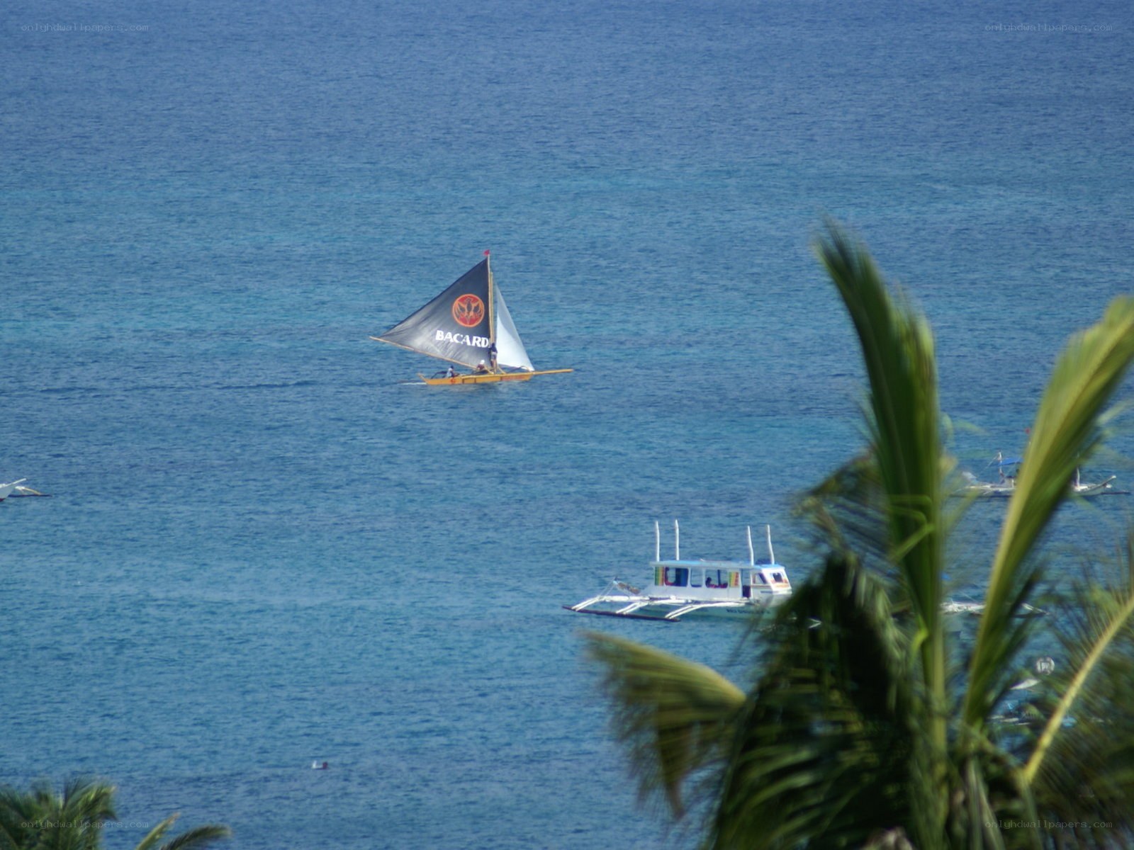 Sailboat on blue ocean