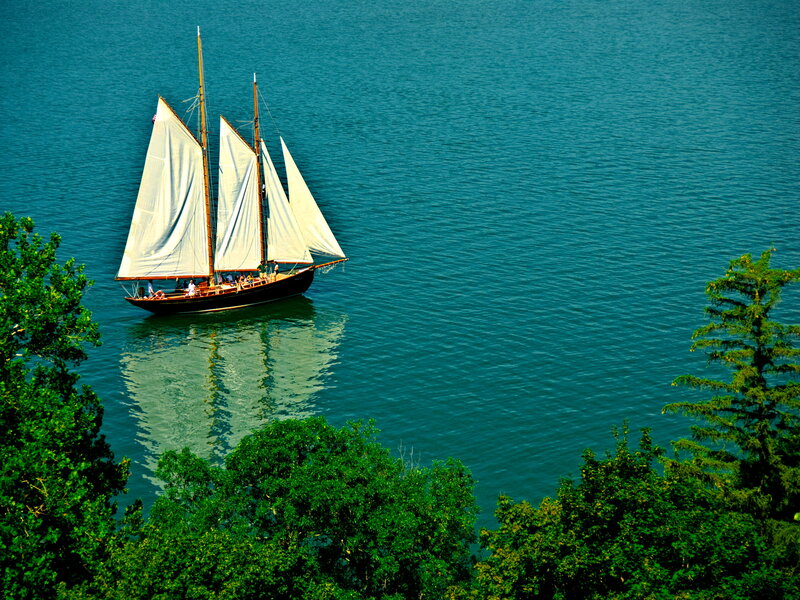 Sailboat on Blue Water — Serene, Afternoon, Photograph, Trees