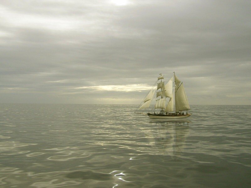 Sailboat on Calm Sea — Gray