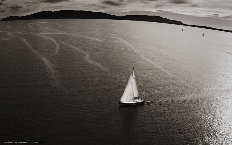 Sailboat on Calm Water — Black, Serene