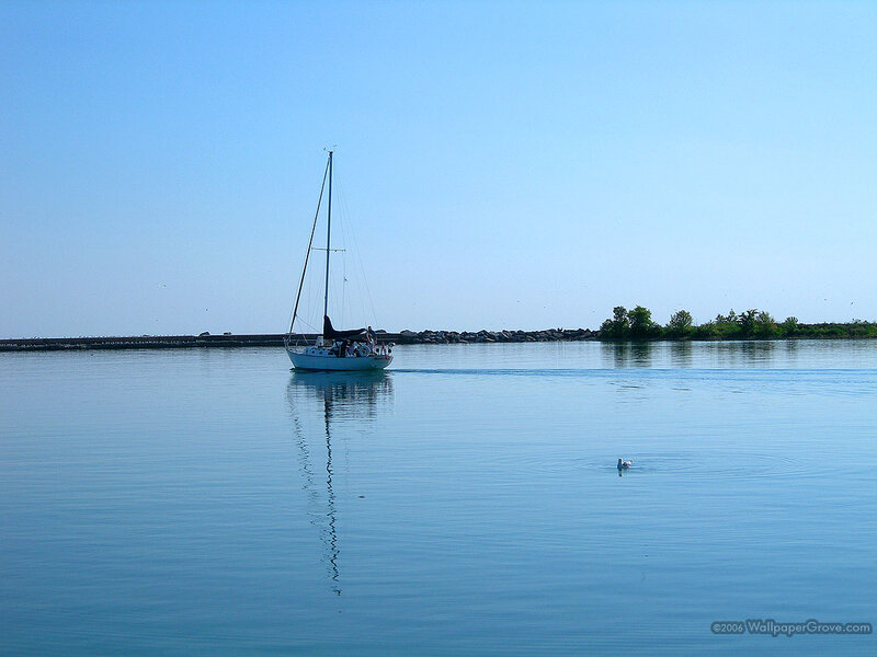 Sailboat on Calm Water — Blue, Serene, Afternoon, Photograph, Duck