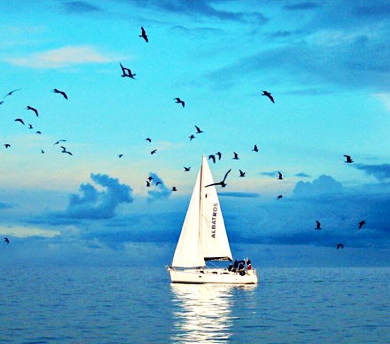 Sailboat on Calm Water — Blue, Serene, Sunset, Photograph, Birds
