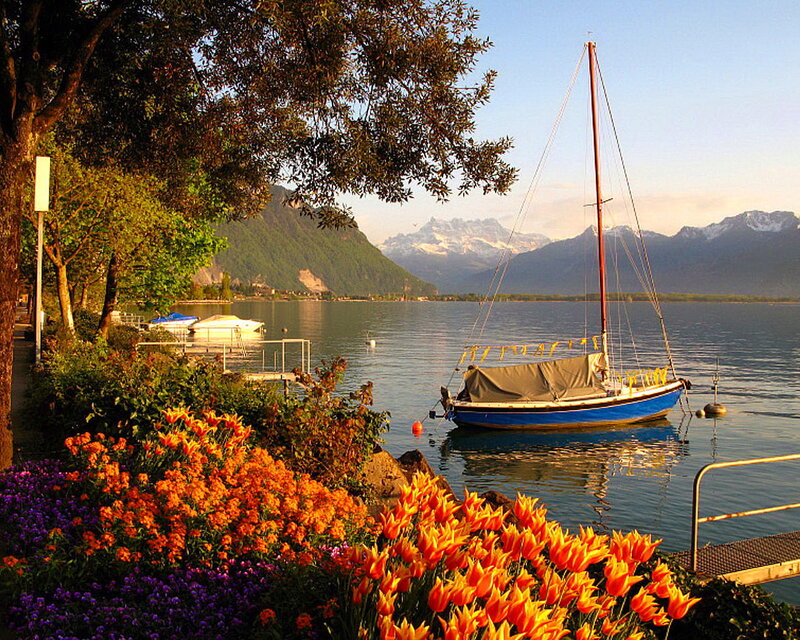 Sailboat on Lake — Blue, Serene, Sunset, Photograph, Flowers