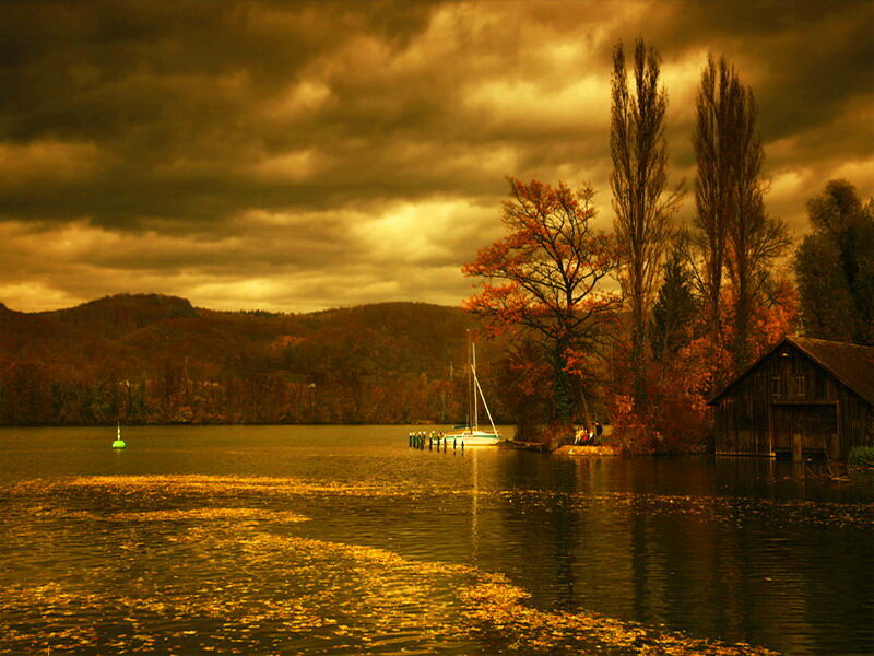 Sailboat on Lake — Brown