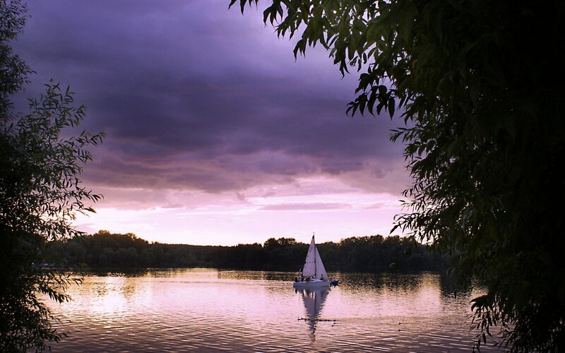 Sailboat on Lake — Purple