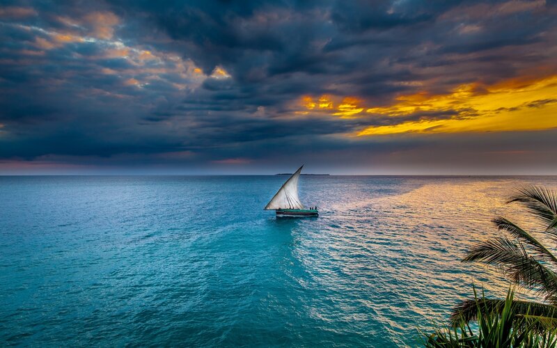 Sailboat on Ocean — Blue, Dramatic, Sunset, Photograph, Clouds, Palm Tree