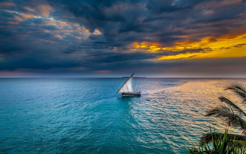 Sailboat on Ocean — Blue, Dramatic, Sunset, Photograph, Clouds, Palm Trees