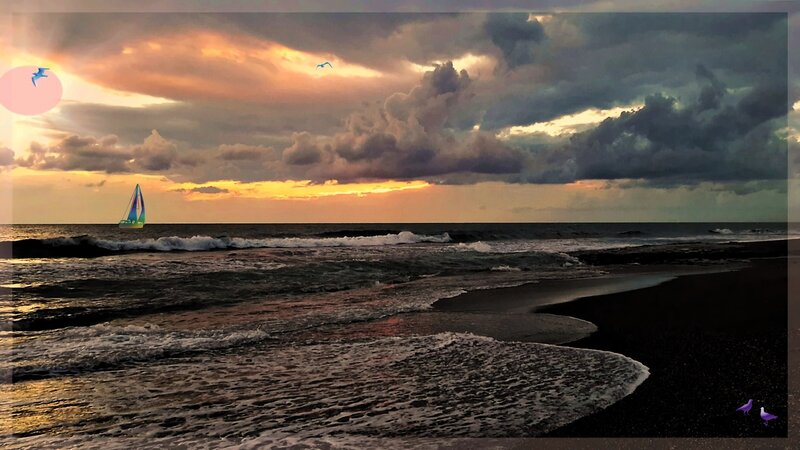 Sailboat on Ocean — Orange, Dramatic, Sunset, Photograph, Seagulls, Clouds