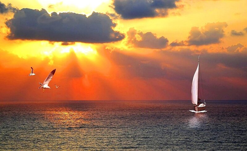 Sailboat on Ocean — Orange, Dramatic, Sunset, Photograph, Seagulls