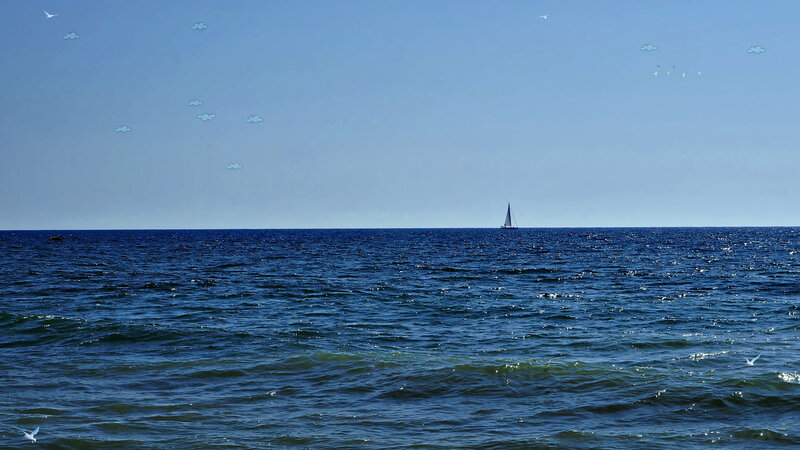Sailboat on Open Sea — Blue, Serene, Afternoon, Photograph, Birds