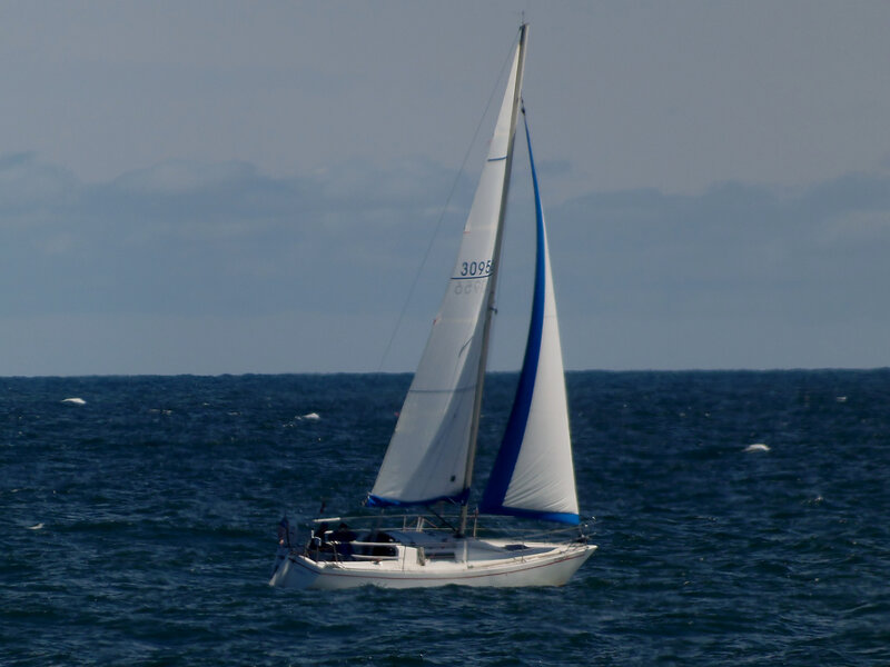 Sailboat on Open Water — Blue, Calm, Afternoon