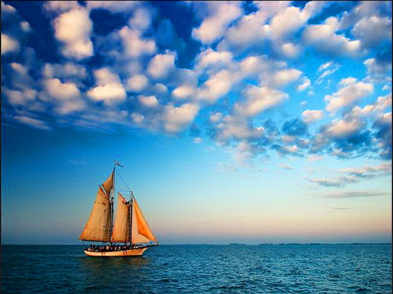 Sailboat on Open Water — Blue