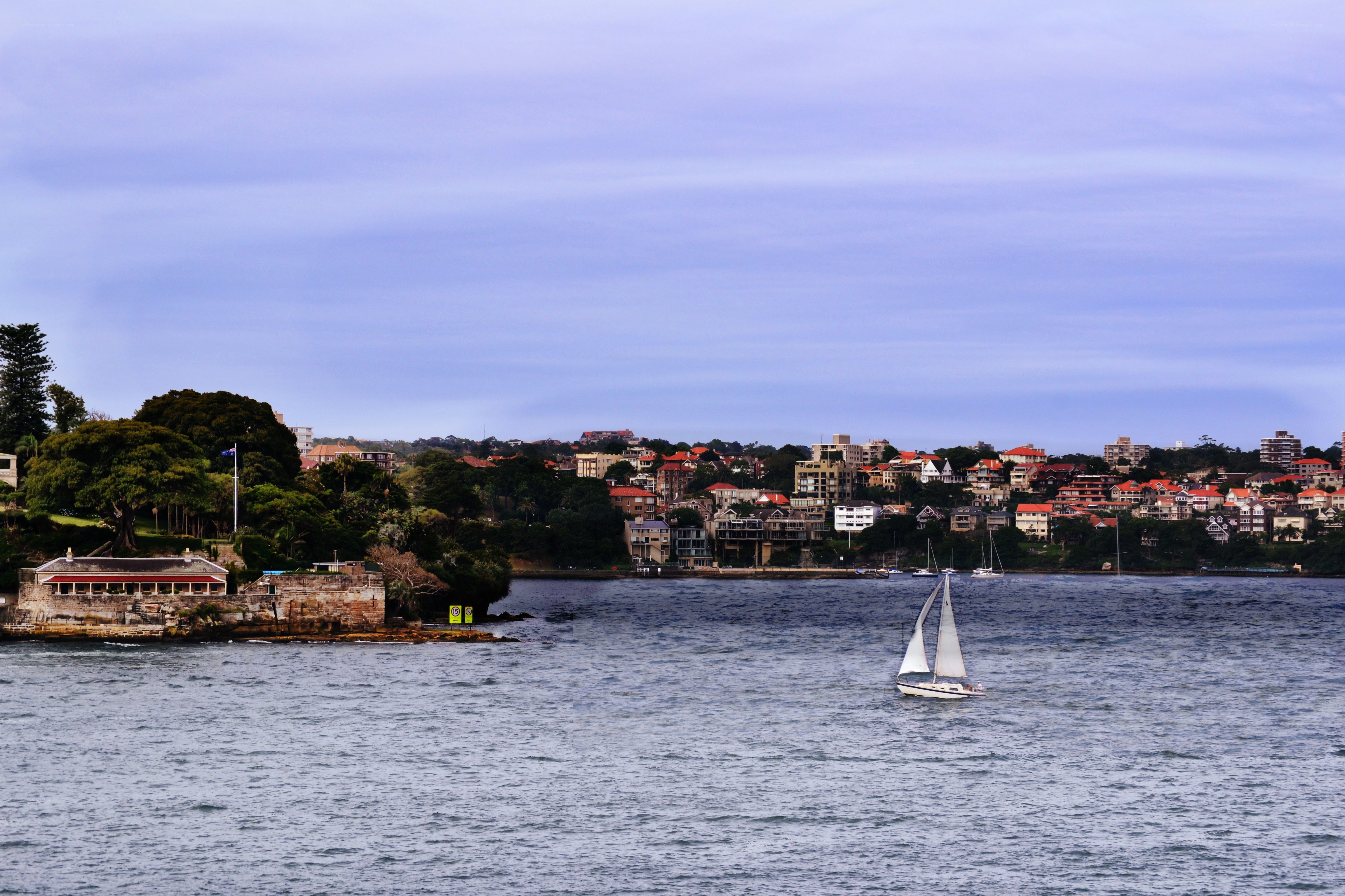 Sailboat on Sydney Harbour