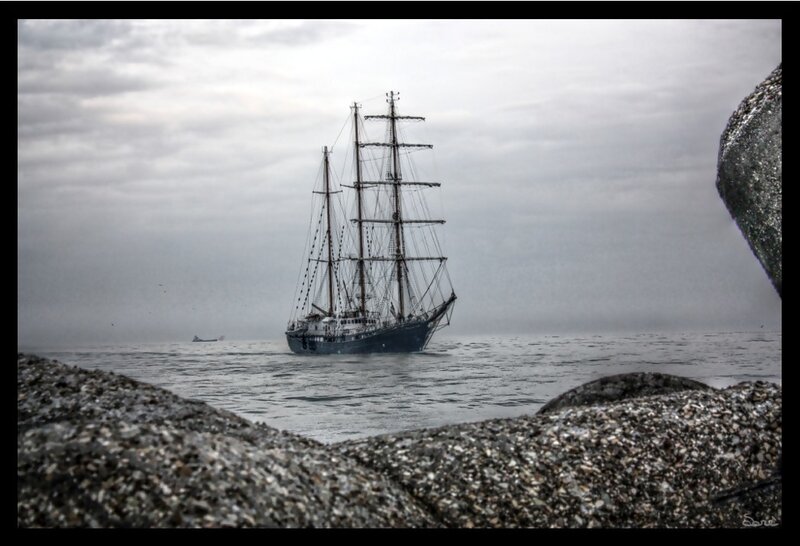 Sailboat on the Sea — Gray