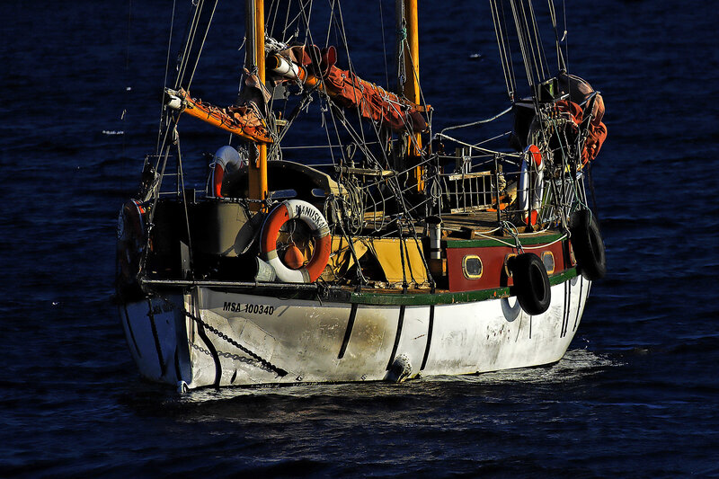 sailboat on the water