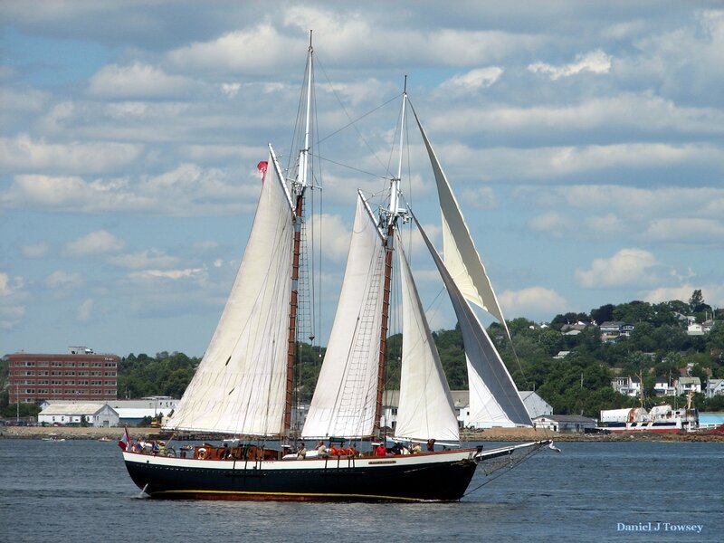 Sailboat on the water