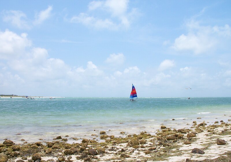 Sailboat on the Water — Blue