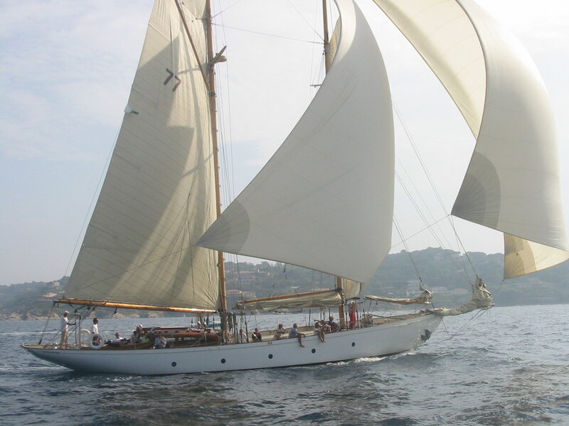 Sailboat on the Water — White, Serene, Afternoon