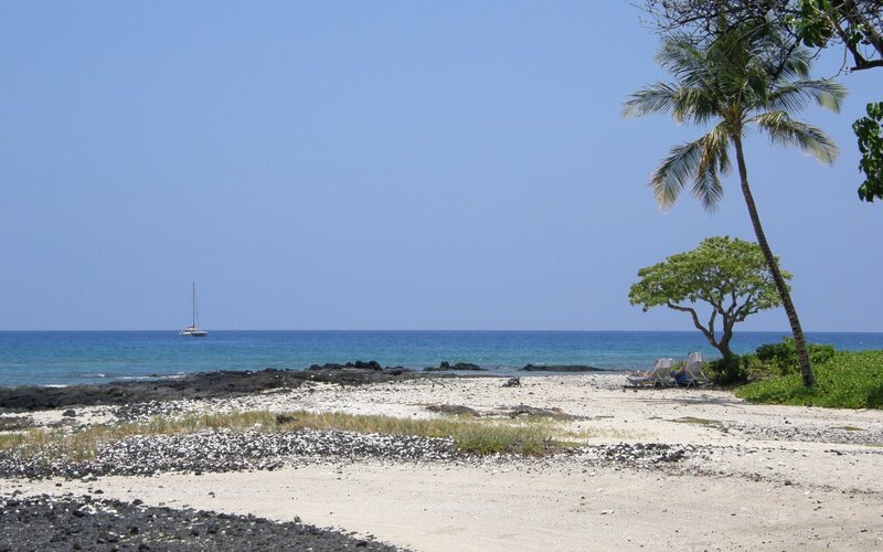 Sailboat on Tropical Beach — Blue, Serene, Afternoon, Photograph, Palm Tree, Chairs