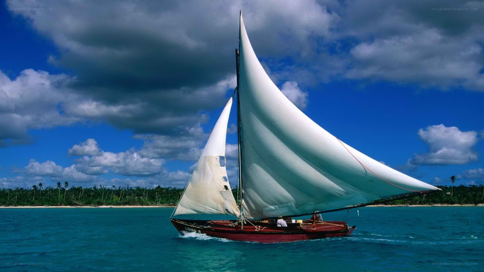 Sailboat on tropical sea
