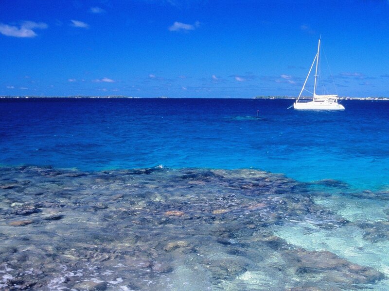 Sailboat on tropical sea
