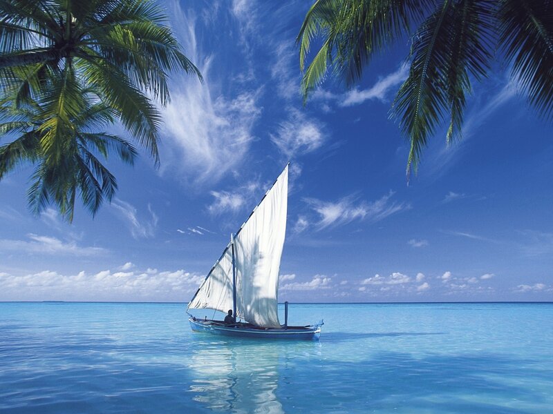 Sailboat on Tropical Water