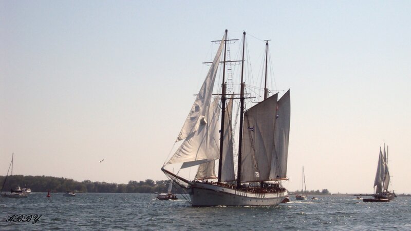Sailboat on Water — Blue, Calm, Afternoon, Photograph, Other Boats